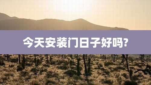 今天安装门日子好吗?