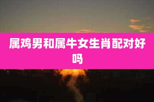 属鸡男和属牛女生肖配对好吗