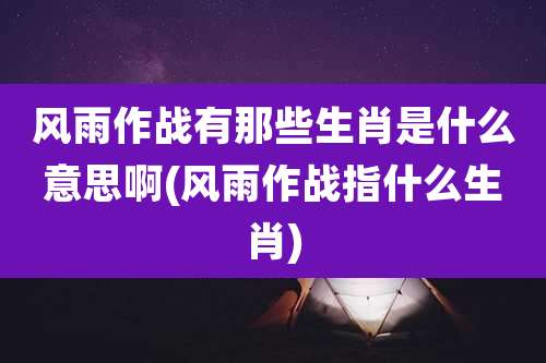 风雨作战有那些生肖是什么意思啊(风雨作战指什么生肖)