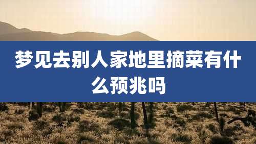 梦见去别人家地里摘菜有什么预兆吗