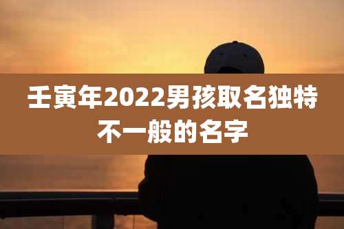 壬寅年2022男孩取名独特不一般的名字