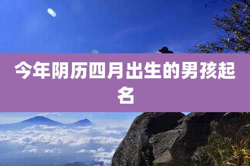 今年阴历四月出生的男孩起名