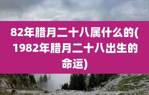 82年腊月二十八属什么的(1982年腊月二十八出生的命运)