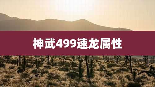 神武499速龙属性