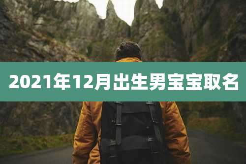 2021年12月出生男宝宝取名