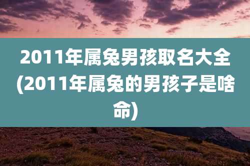 2011年属兔男孩取名大全(2011年属兔的男孩子是啥命)
