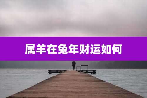 属羊在兔年财运如何
