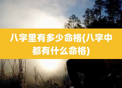八字里有多少命格(八字中都有什么命格)