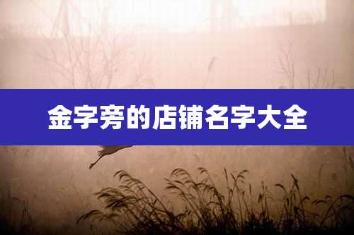 金字旁的店铺名字大全