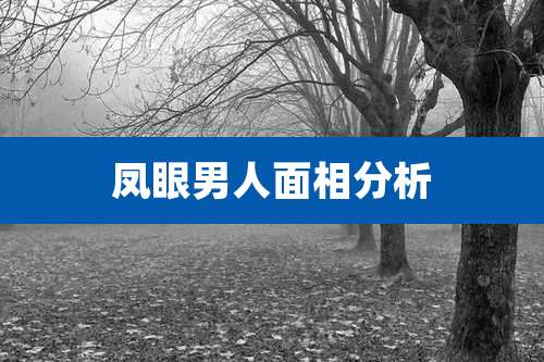 凤眼男人面相分析