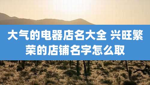 大气的电器店名大全 兴旺繁荣的店铺名字怎么取