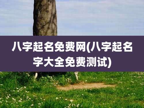 八字起名免费网(八字起名字大全免费测试)