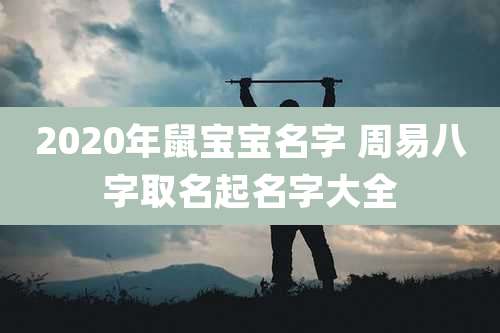 2020年鼠宝宝名字 周易八字取名起名字大全