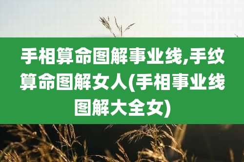 手相算命图解事业线,手纹算命图解女人(手相事业线图解大全女)