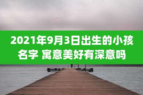2021年9月3日出生的小孩名字 寓意美好有深意吗