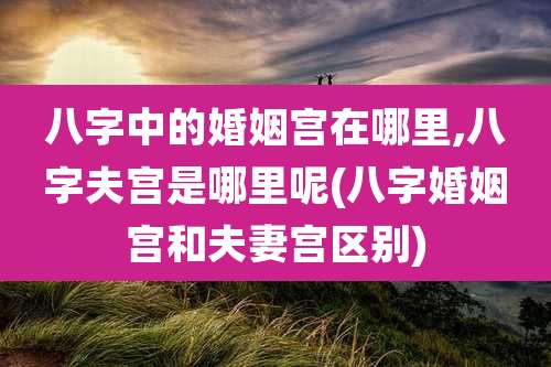 八字中的婚姻宫在哪里,八字夫宫是哪里呢(八字婚姻宫和夫妻宫区别)