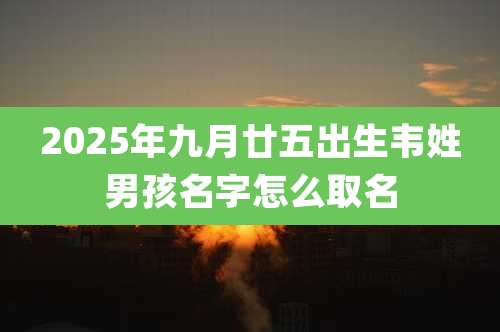 2025年九月廿五出生韦姓男孩名字怎么取名