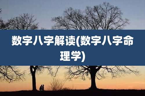 数字八字解读(数字八字命理学)