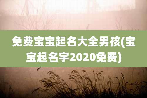 免费宝宝起名大全男孩(宝宝起名字2020免费)