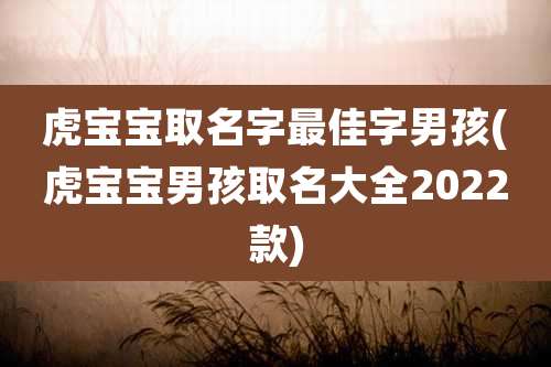 虎宝宝取名字最佳字男孩(虎宝宝男孩取名大全2022款)