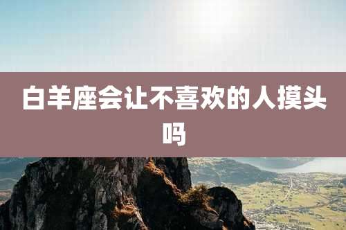 白羊座会让不喜欢的人摸头吗