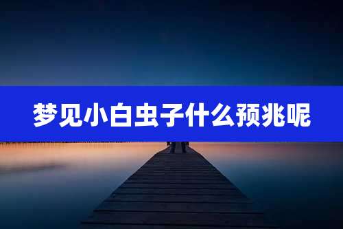 梦见小白虫子什么预兆呢