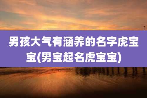 男孩大气有涵养的名字虎宝宝(男宝起名虎宝宝)