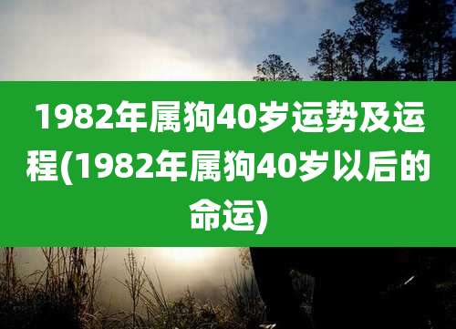 1982年属狗40岁运势及运程(1982年属狗40岁以后的命运)