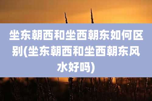 坐东朝西和坐西朝东如何区别(坐东朝西和坐西朝东风水好吗)