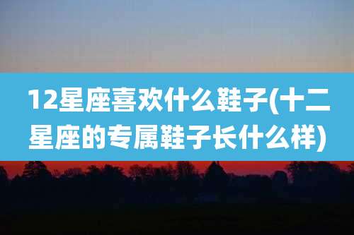 12星座喜欢什么鞋子(十二星座的专属鞋子长什么样)