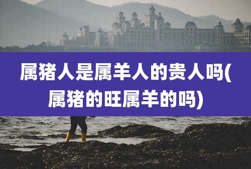 属猪人是属羊人的贵人吗(属猪的旺属羊的吗)