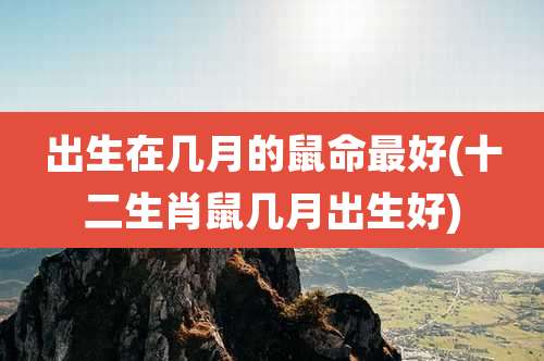 出生在几月的鼠命最好(十二生肖鼠几月出生好)