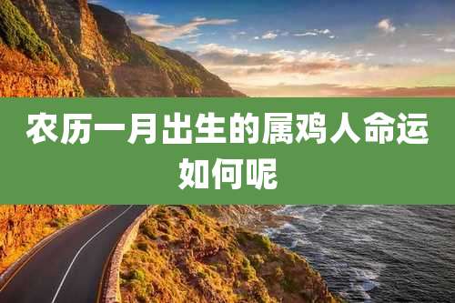 农历一月出生的属鸡人命运如何呢