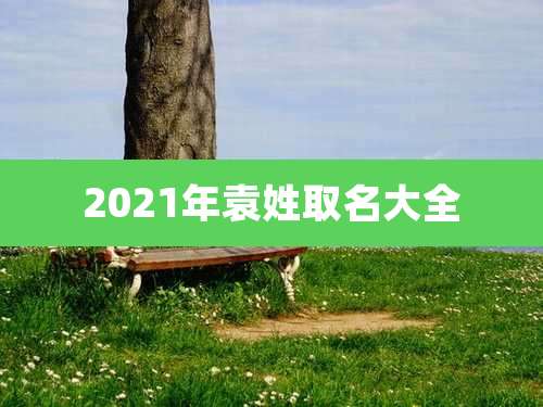 2021年袁姓取名大全