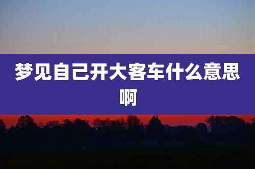 梦见自己开大客车什么意思啊