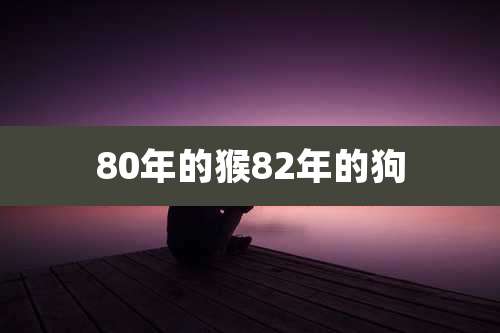 80年的猴82年的狗