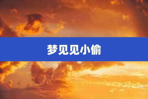 梦见见小偷