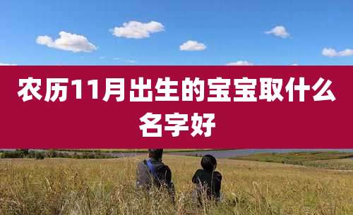 农历11月出生的宝宝取什么名字好