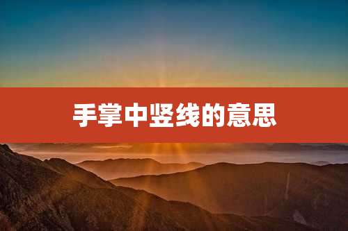 手掌中竖线的意思