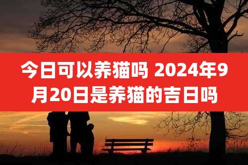 今日可以养猫吗 2024年9月20日是养猫的吉日吗