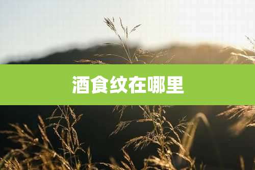 酒食纹在哪里