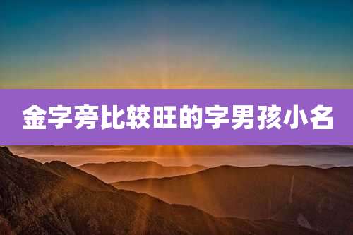 金字旁比较旺的字男孩小名