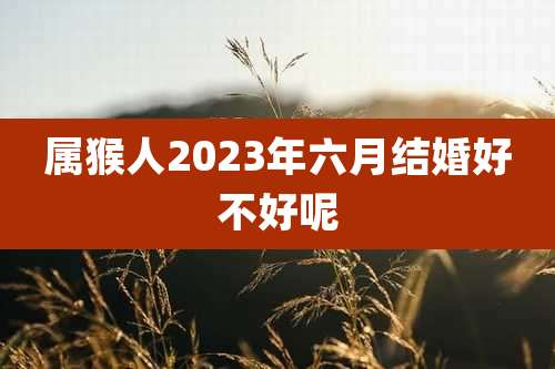 属猴人2023年六月结婚好不好呢