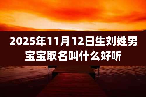 2025年11月12日生刘姓男宝宝取名叫什么好听