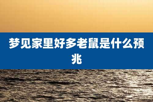 梦见家里好多老鼠是什么预兆