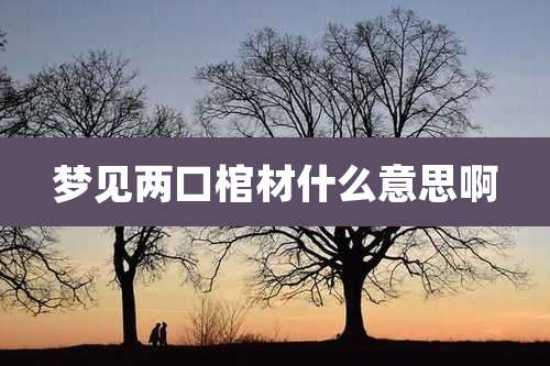 梦见两口棺材什么意思啊