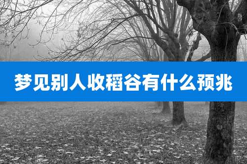 梦见别人收稻谷有什么预兆