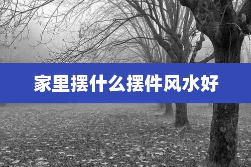 家里摆什么摆件风水好