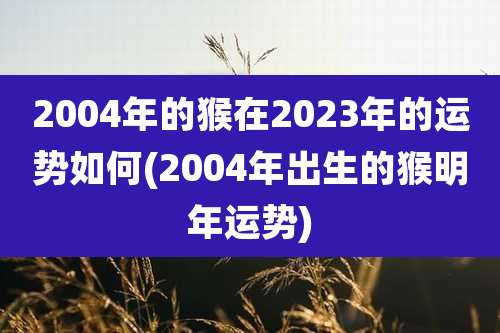 2004年的猴在2023年的运势如何(2004年出生的猴明年运势)
