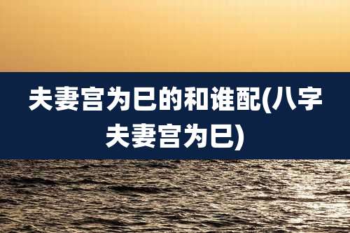 夫妻宫为巳的和谁配(八字夫妻宫为巳)